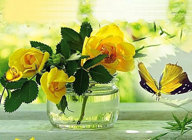 Цвет настроения весенний. Солнечный цветок. Цветы в лучах солнца. Доброе утро с желтыерозами. Доброе утро желтые розы.