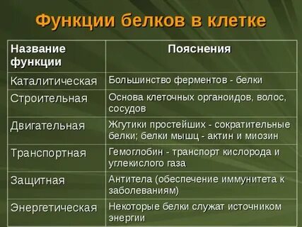 Назвать и пояснить