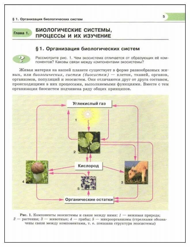 Петросова биология читать. Биология 10 класс Теремов Петросова читать. Организация биологических систем конспект 10 класс Теремов Петросова. Биология 10 класс Теремов выделение у организмов.