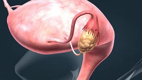 Орыс порносы түнде ұйықтайды