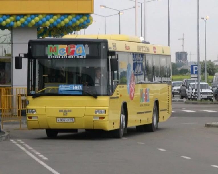 Мега общественный транспорт. Автобус мега. Автобус до Меги. Желтый автобус мега. Автобусы ТЦ мега.