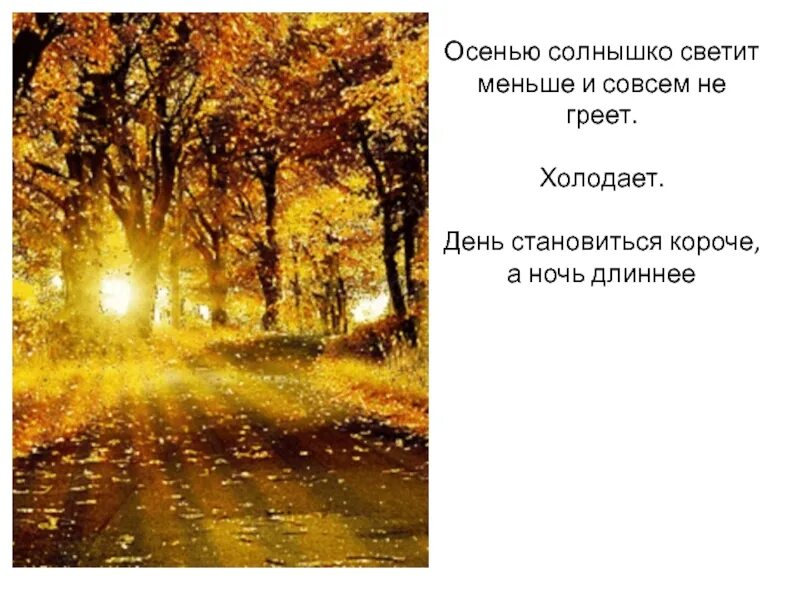 Летом дни становятся длиннее. Предложения на тему осенний день. Осеннее солнце. Осенью дни становятся короче а ночи. Осеннее солнце светит мало.