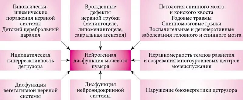 Нейрогенный мочевой у мужчин. Нейрогенный мочевой пузырь классификация этиология. Нейрогенный мочевой пузырь патогенез. Нейрогенная дисфункция мочевого пузыря у детей симптомы. Гипорефлекторный нейрогенный мочевой пузырь.