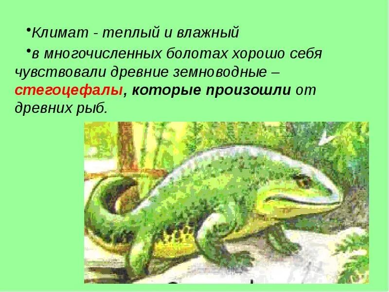 Кто является вымершим предком земноводных. Древние земноводные стегоцефалы. древние амфибии стегоцефалы. предки земноводных стегоцефалы. первые земноводные стегоцефалы произошли от.