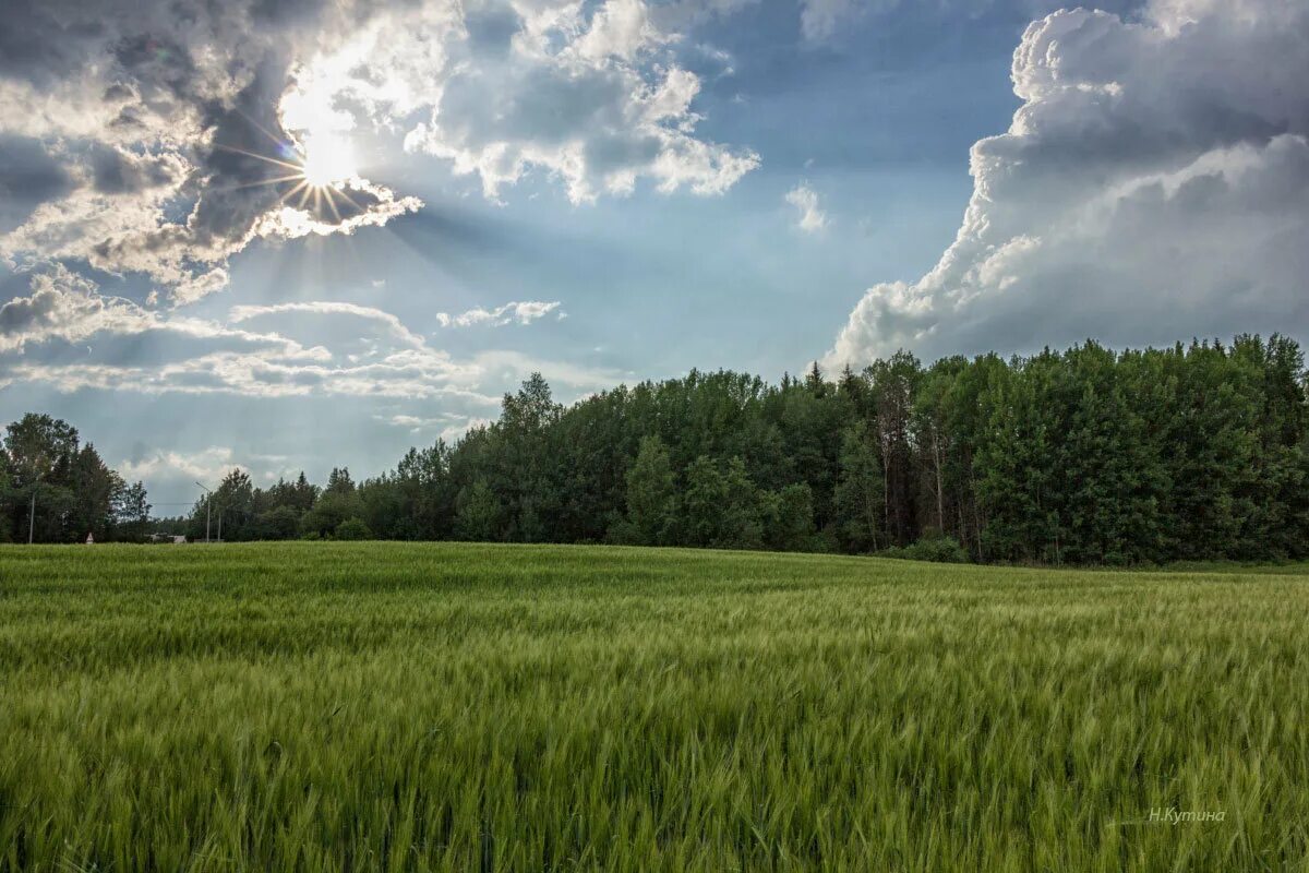 лета луч отзывы