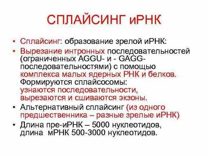 1 процессинг ирнк
