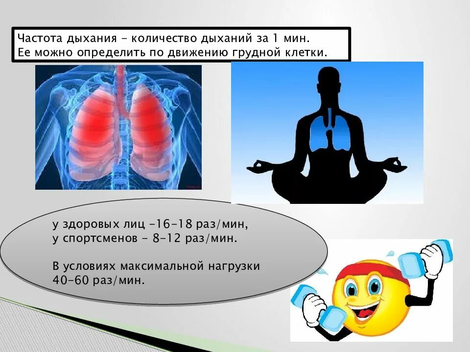 Определение частоты дыхания. Частота дыхания у спортсменов. Оценка частоты дыхания. Измерения частоты дыхания у спортсменов.