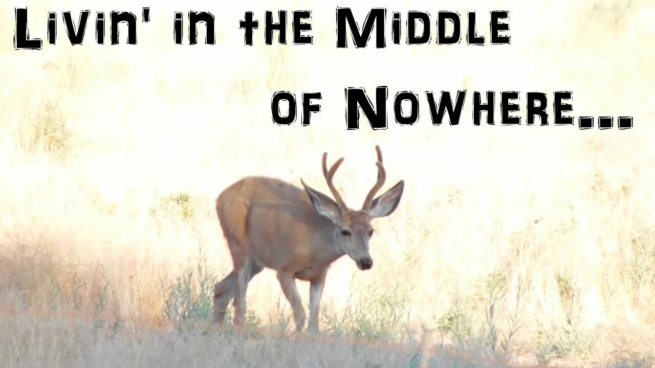In the middle of nowhere. In the Middle of Nowhere идиома. In the Middle of Nowhere idiom. In the Middle of Nowhere перевод идиомы.