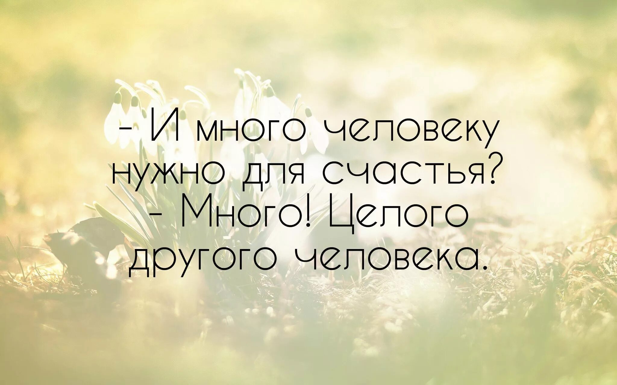 Умные картинки с надписями. Красивые цитаты. Высказывания в картинках. Красивые выражения о жизни. Красивые фразы.