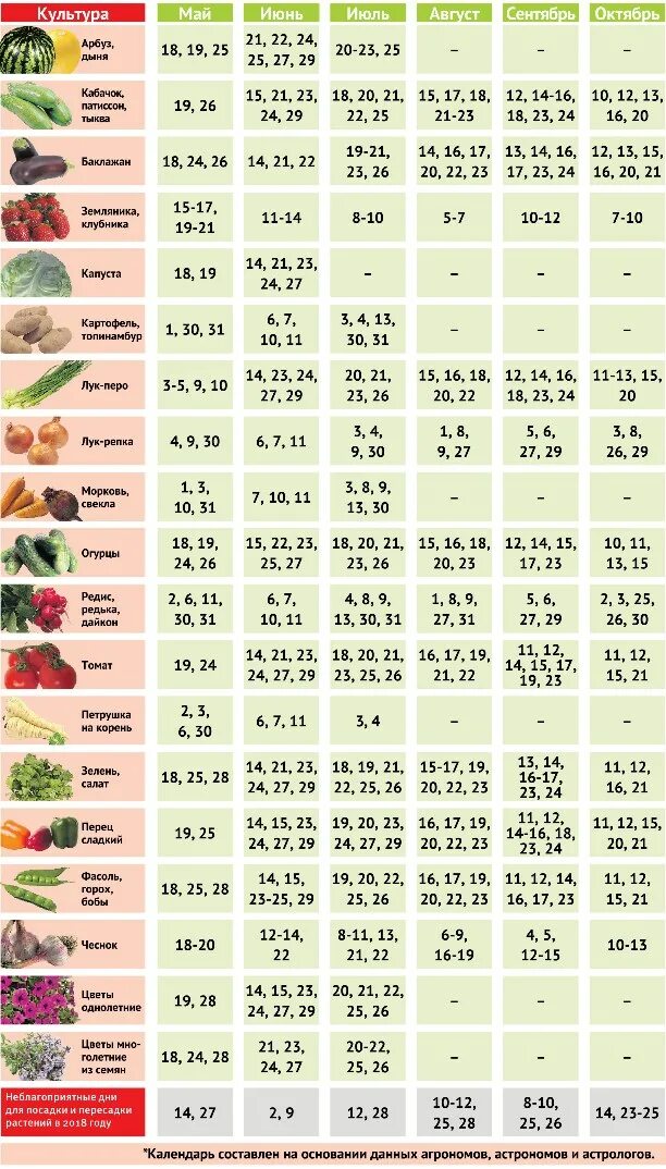 Лунный календарь садовода. Календарь посадки растений. Календарь посева овощных культур. Календарь посадки моркови. Гороскоп садовода на 2024 год