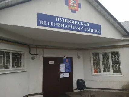 Вет пушкино