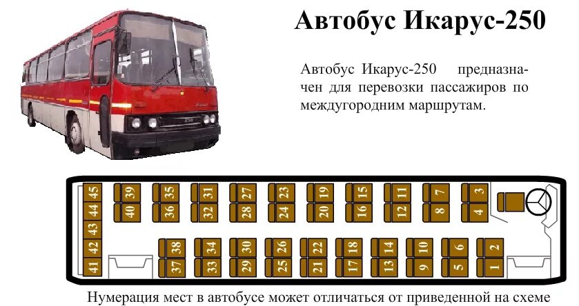 Икарус автобус мест. Икарус 250.59 схема салона. Схема автобуса Икарус 250. Расположение мест в автобусе Икарус 42 места. Икарус 250 42 места расположения мест.