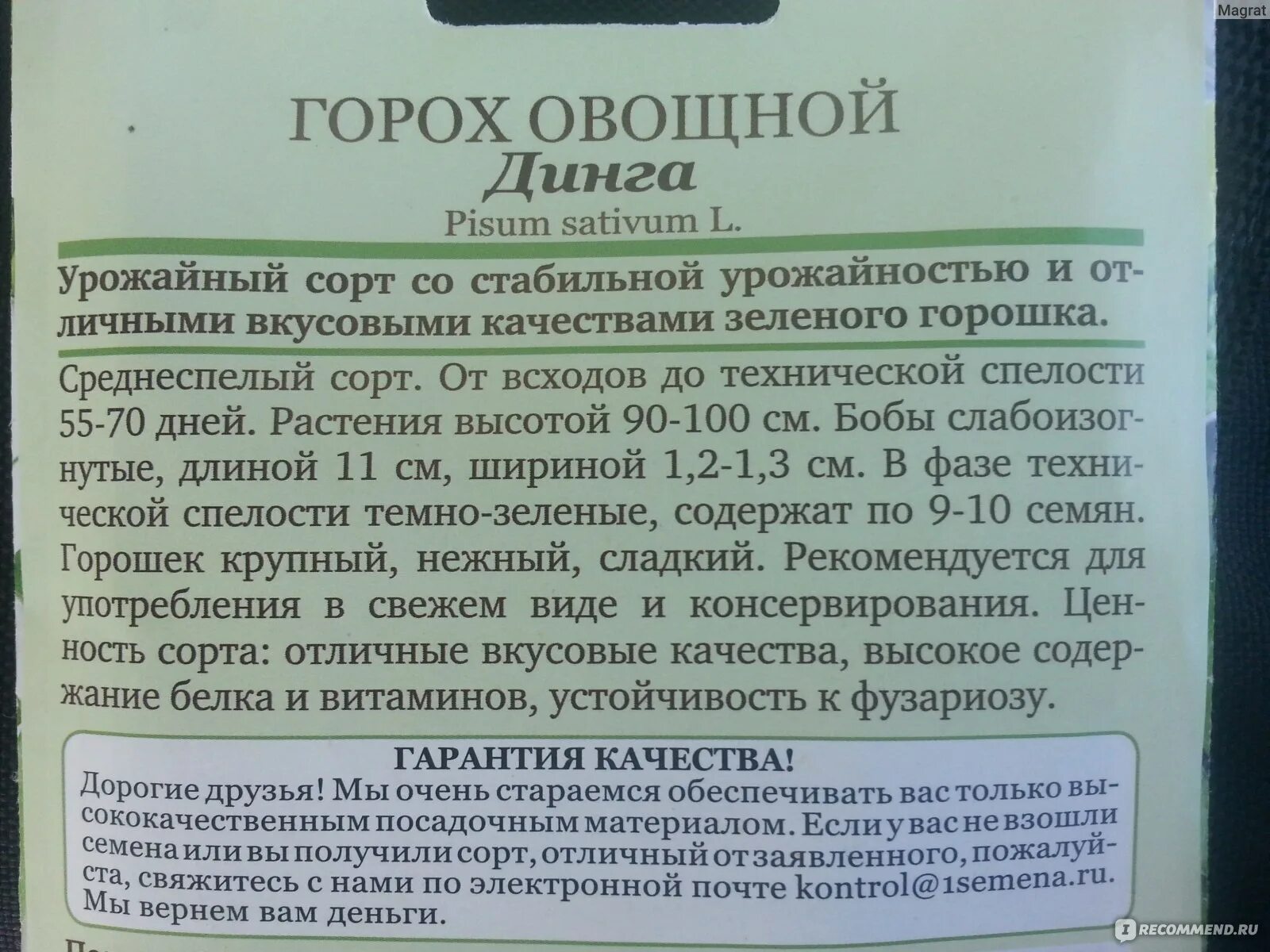 Горох овощной динга. Горох описание сорта. Горох динга описание. Увертюра сорт гороха. Срок годности гороха