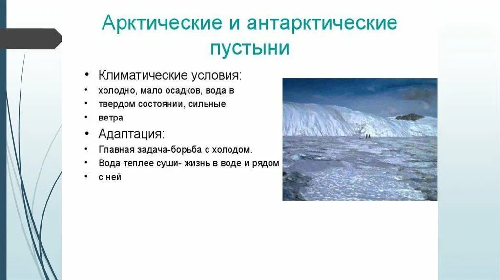 Полярные природные особенности. Климат арктических и антарктических пустынь. Арктические и антарктические пустыни климатические условия. Арктические антарктические пустыни условия. Зона арктических и антарктических пустынь.