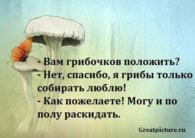 Смешные фразы про грибы. Смешные цитаты про грибы. Цитаты про грибы прикольные. Смешные высказывания про грибы.