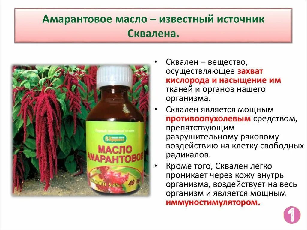 Сквален для чего нужен организму. Амарантовое масло содержит сквален. Амарант сквален. Масло амаранта. Польза сквалена.