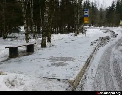 Автобус менделеево водный стадион
