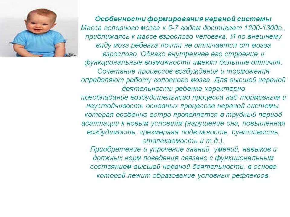 Развитие нервной системы и поведения. Особенности нервной системы у детей. Особенности формирования нервной системы. Возрастные особенности мозга у детей.. Особенности развития непвной системы ребёнка.