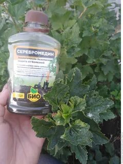 Серебромедин