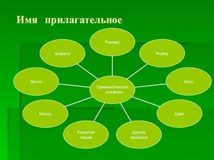 Прилагательные чаще всего бывает