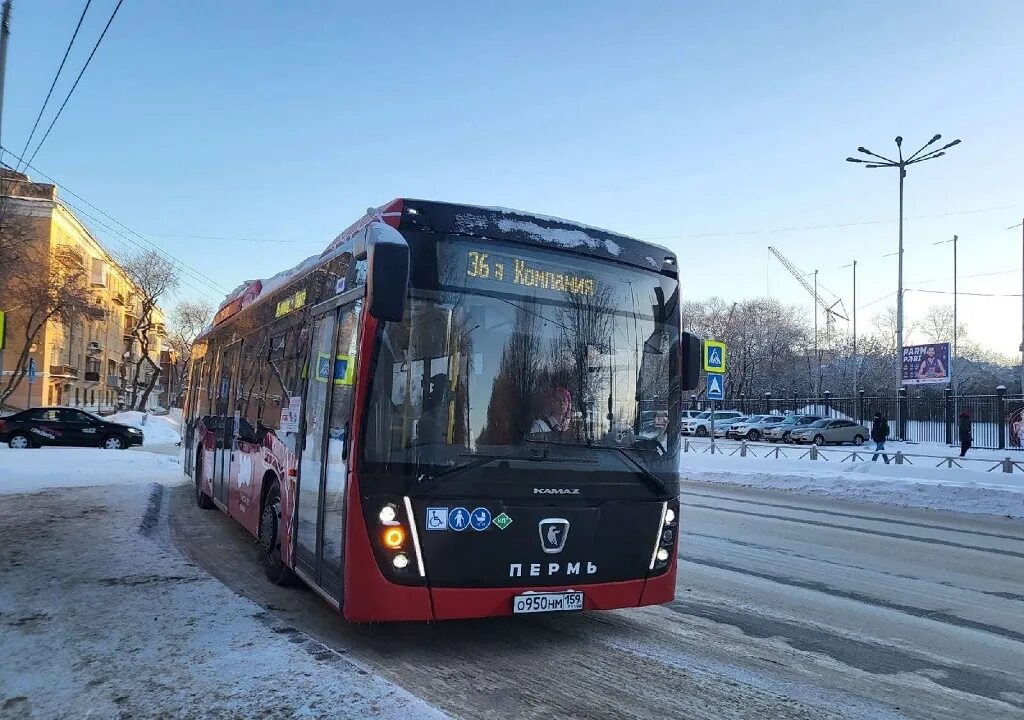 Автобус. Новейшие автобусы. Новый транспорт. Автобусы Пермь.