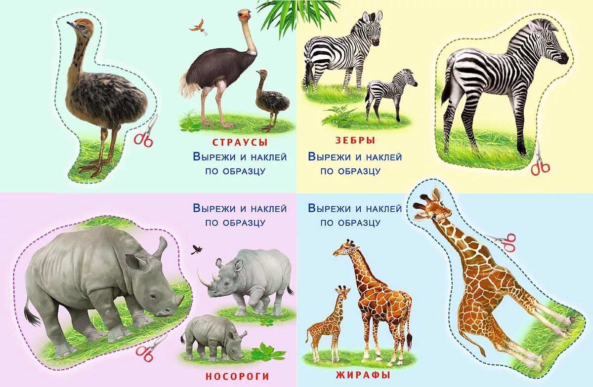 Животные африки старшая группа. Животные жарких стран для детей. Животные картинки для детей. Животные Африки для детей. Животные Африки дл ядетй.