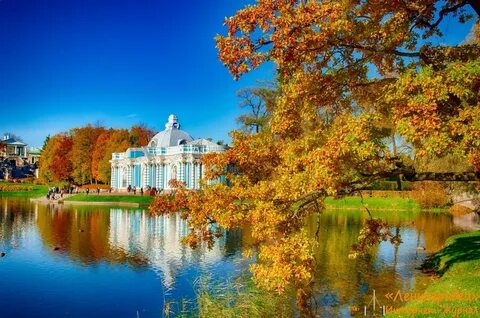 Лучше в пушкине