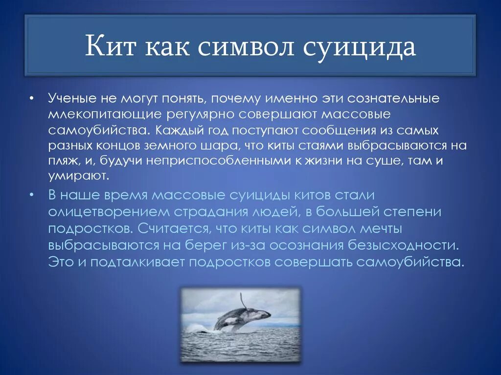 Значение китообразных в жизни человека. Знак суицида. Самоубийства китообразных. Синий кит символ самоубийства.