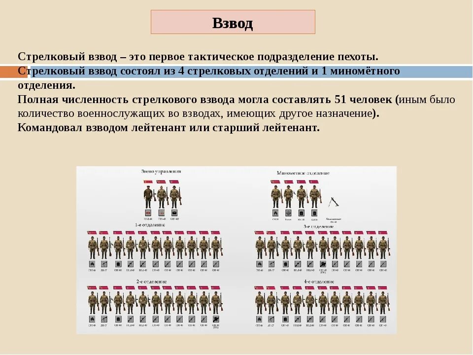 Численность подразделений в армии. Пехотный взвод численность. Структура взвода. Численность войск в подразделениях. Численность одной армии россии