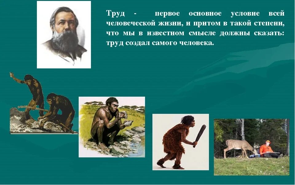 Труд создал из обезьяны человека. Труд сделал человека человеком. Происхождение человека. Роль труда в эволюции человека.