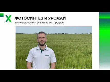 Агроконсалтинг