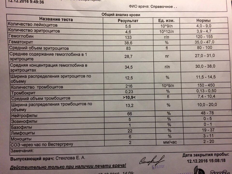 Тромбоциты сильно повышены. Анализ крови. Высокий показатель СОЭ. Норма эритроцитов и лейкоцитов. Анализ крови тромбоциты норма.