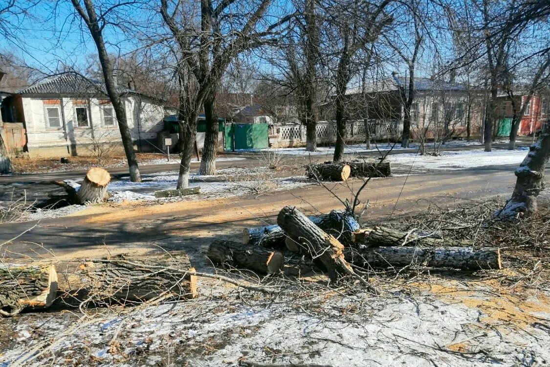 Прогноз каменск шахтинский сегодня. Полигон Каменск Шахтинский. Экологическая обстановка в Каменске Шахтинском.