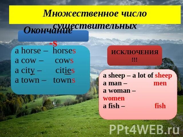 Село множественное число. Horse во множественном числе. Cow множественное число. City во множественном числе. Лошадь во множественном числе на английском.