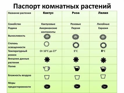 Таблица кактуса