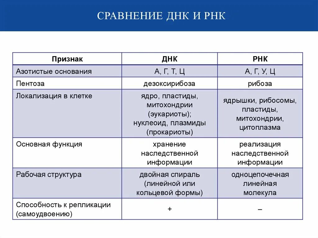 Тест днк рнк. Различия между ДНК И РНК таблица. Сравнительные признаки ДНК И РНК. Признаки ДНК И РНК таблица. Сходства и различия нуклеиновых кислот таблица ДНК И РНК.