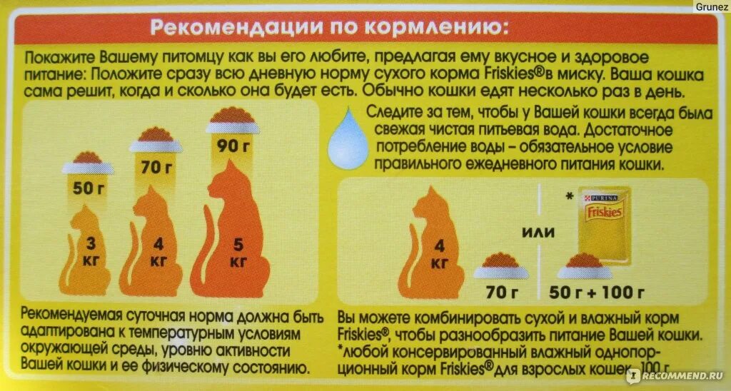 Нормы кормления кошек влажным кормом. Нормы кормления кошек сухой и влажный корм. Советы по кормлению кошки. Сухие и влажные корма. Можно ли кормить кота только сухим