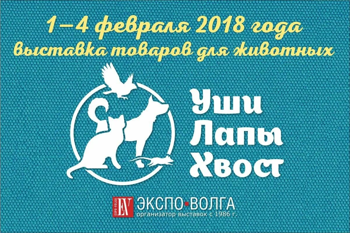 уши, лапы и хвосты. тройка хвосты и лапки. ин-7681. уши, лапы и хвосты. уши лапы хвост владимир.