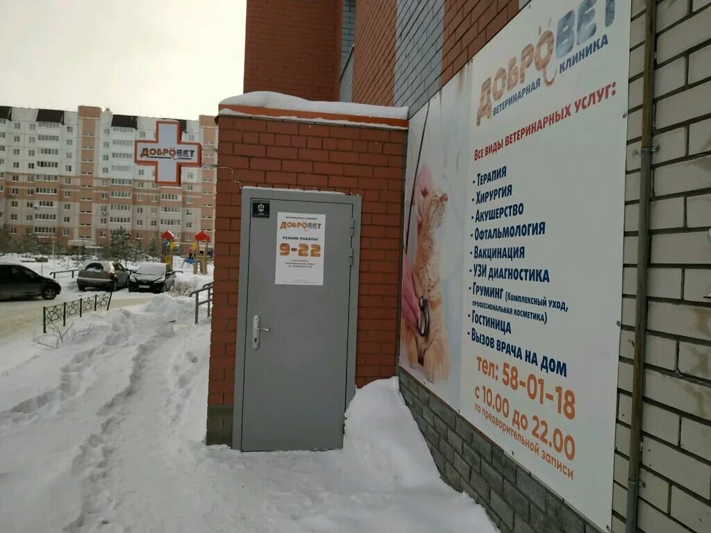 ветеринарная клиника барнаул. ветклиника барнаул адреса. королев ветеринарная клиника унивет на дзержинского. ветклиника барнаул адреса. ветеринарная клиника барнаул на юрина.