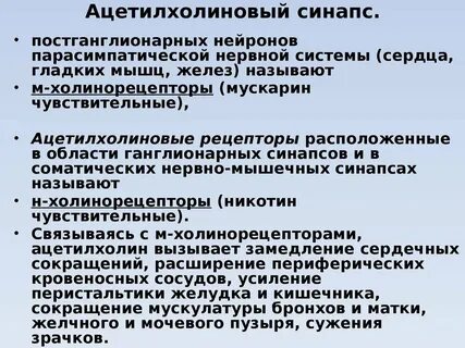 Ацетилхолиновые рецепторы