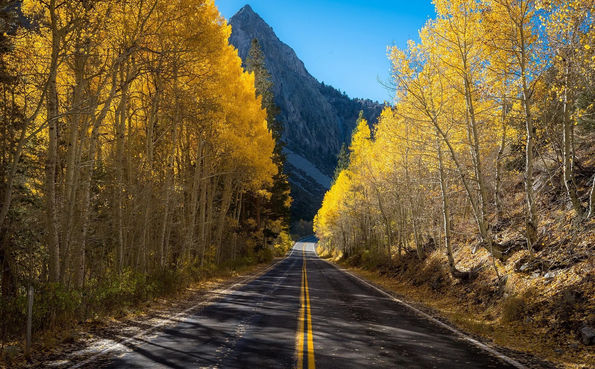 Красивые дороги. Дорога в гору. Осенняя дорога. Дорога в осень.