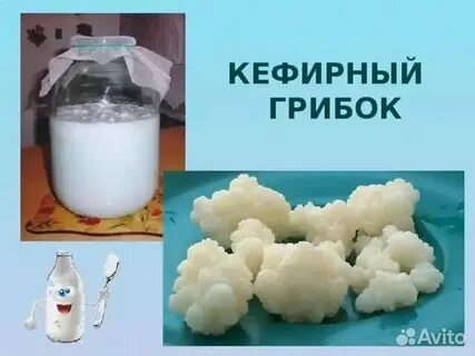 Грибы в кефире