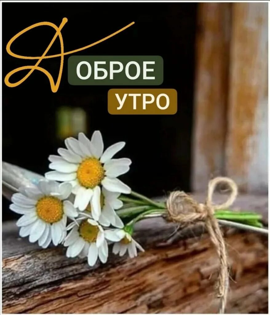 Доброе утро подружка видео. Пожелания с добрым летним утром. Доброе летнее утро августа. Доброе августовское утро. Доброе утро открытки с пожеланиями.
