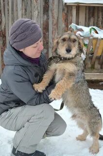 Приют первоуральск