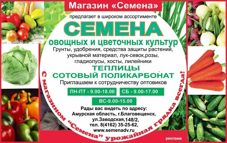 дачник время работы