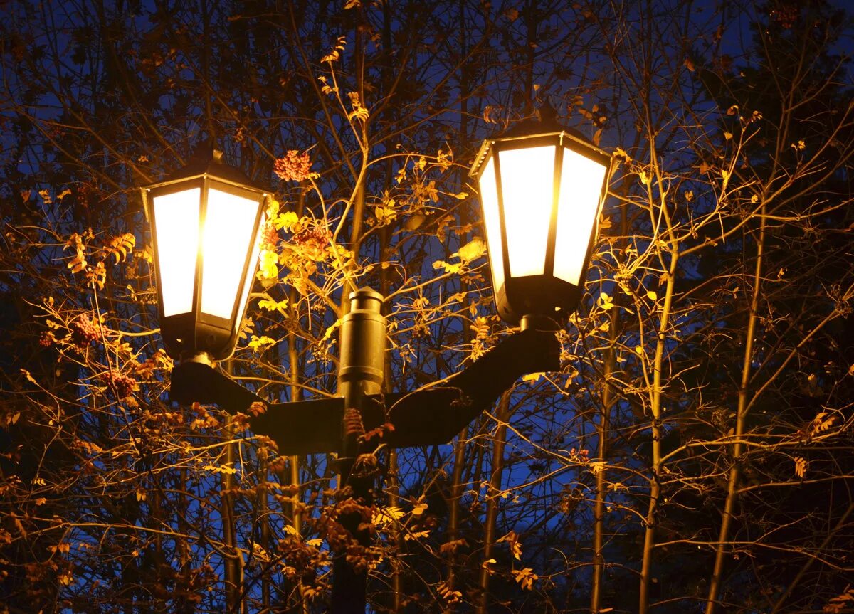 Вечер свет фонаря. Уличный фонарь. Ночные фонари. Красивые фонари. Фонарь освещения.