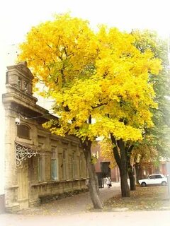 Ставрополь осень