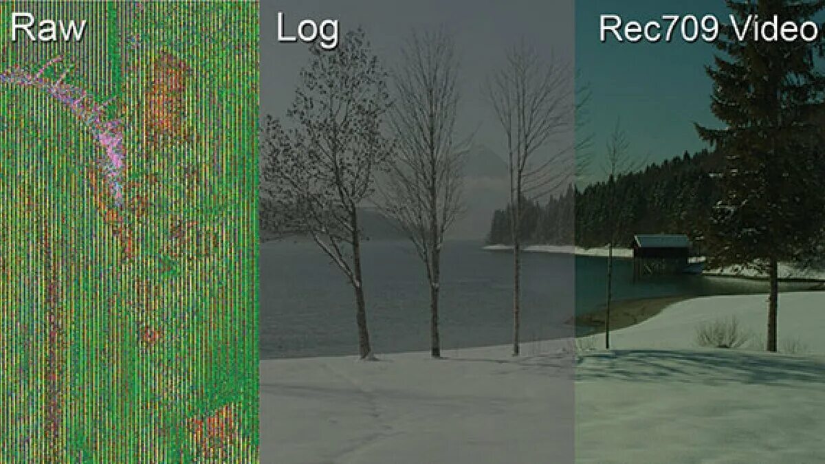 Log lut. Log Rec 709. Цветовое пространство в фотокамере. Log Raw. Съемка ЛОГОВ.