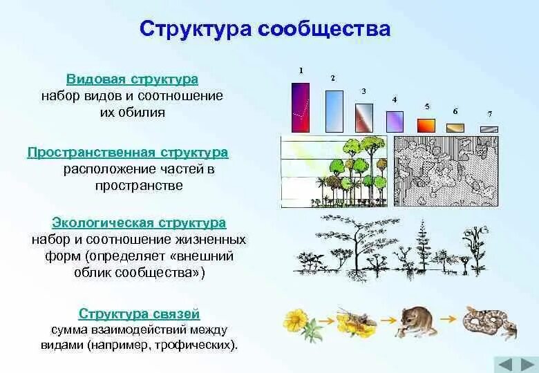 Состав растений и животных