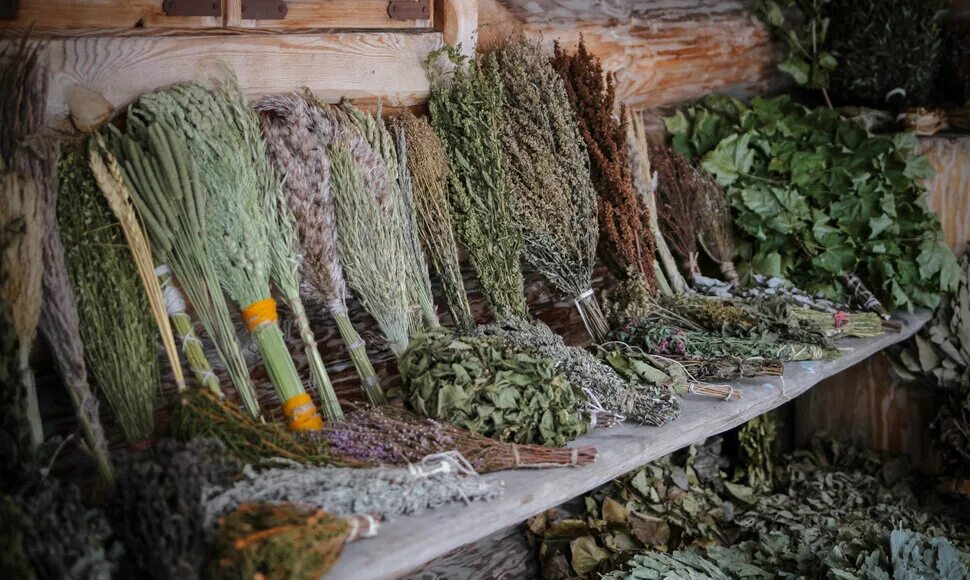 Травяная сауна. Травяная парилка. Веники из трав для бани. Мята болотная веник. Багульник веник.